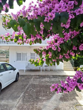 Apartments Ivana